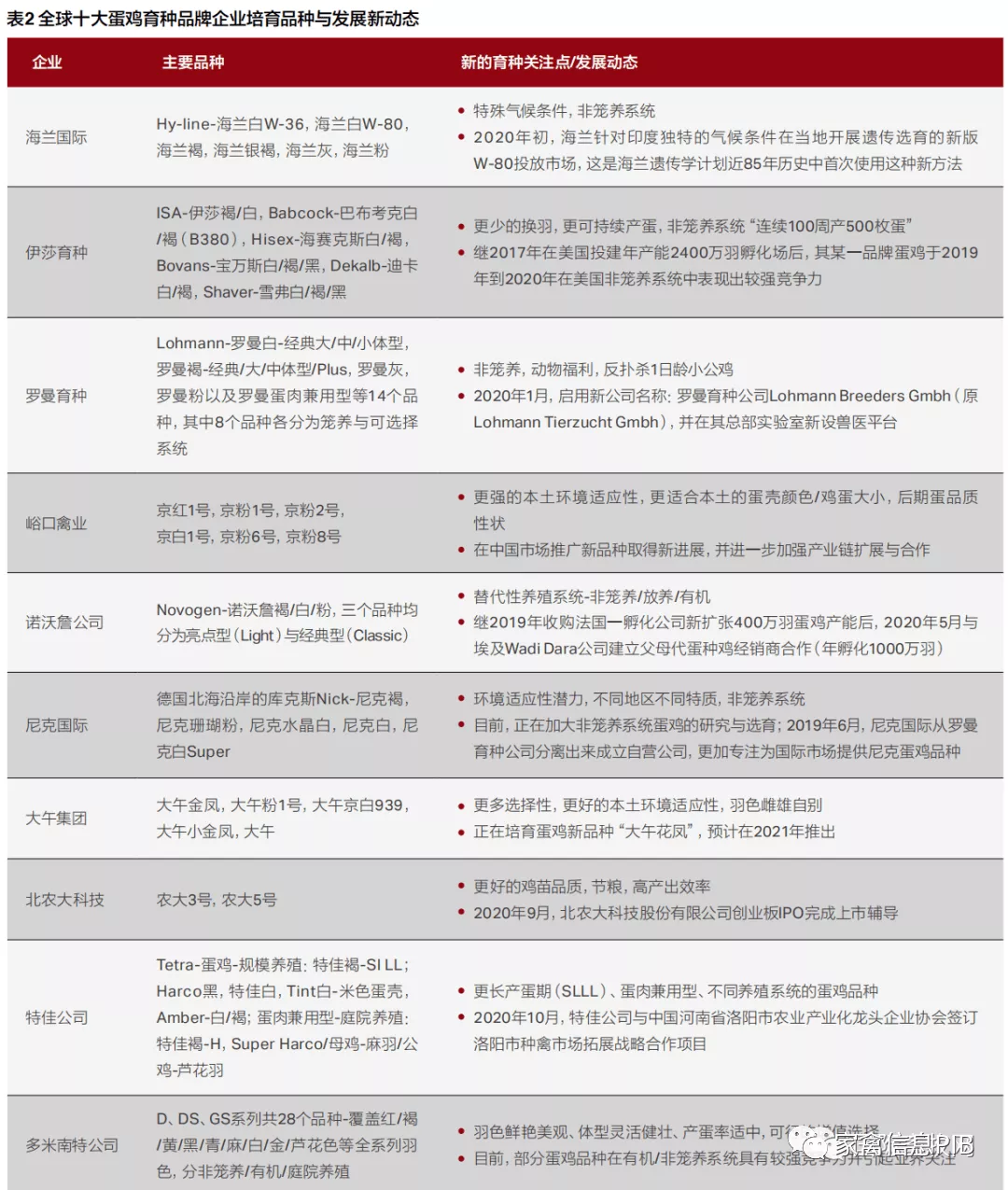 小白鸡三国争霸：817 VS 小优鸡VS 益生909，谁才是“战斗鸡”？