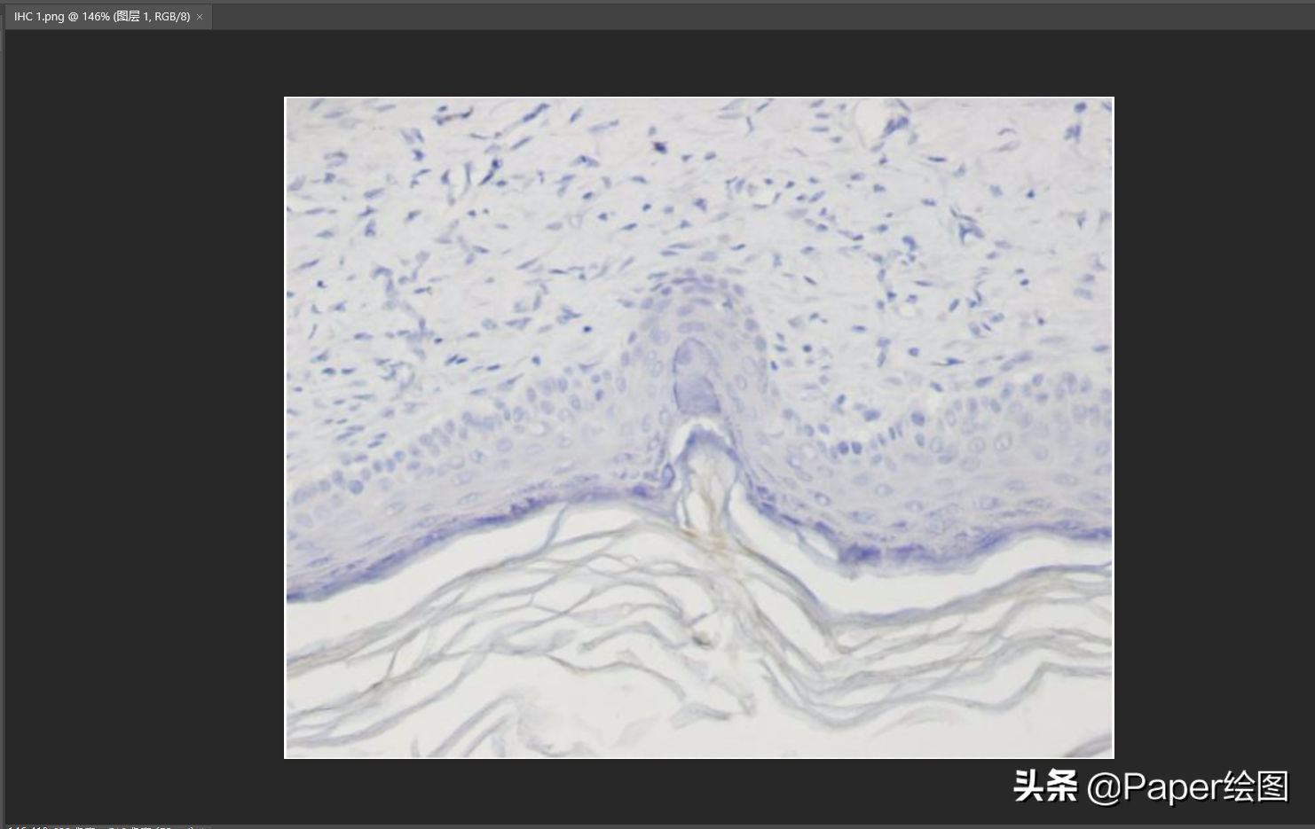 使用PS快速更改100张图片的尺寸分辨率