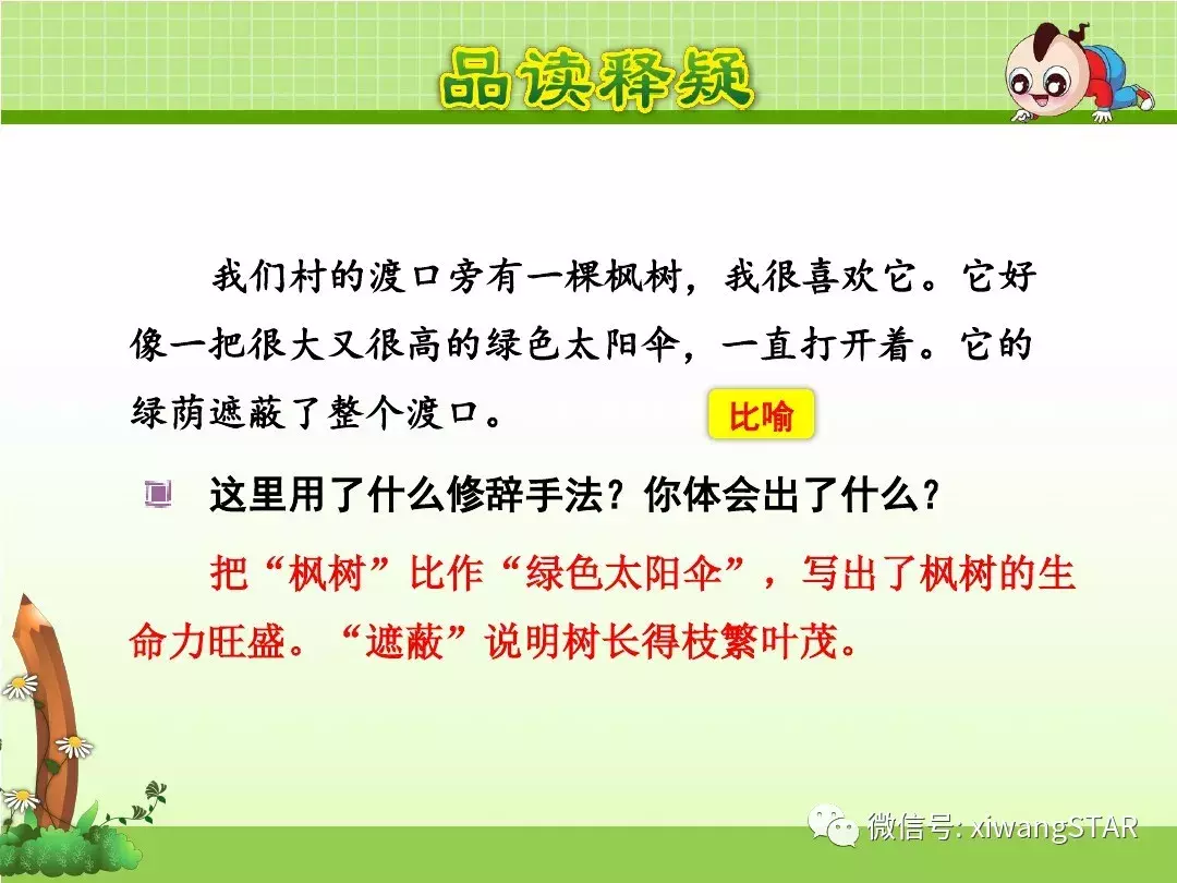 部编版二年级语文下册第四单元《9. 枫树上的喜鹊》复习及练习