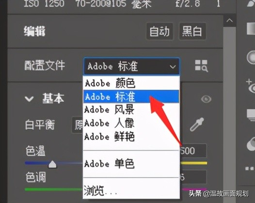 飞思capture one 没那么好！很多人ACR设置错了！导片软件效果对比