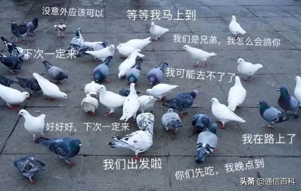 怎样看懂运营商基本网络架构？