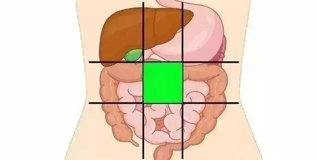 给你一张腹部地图，教你判断腹部疼痛的对应器官，或能终身受益