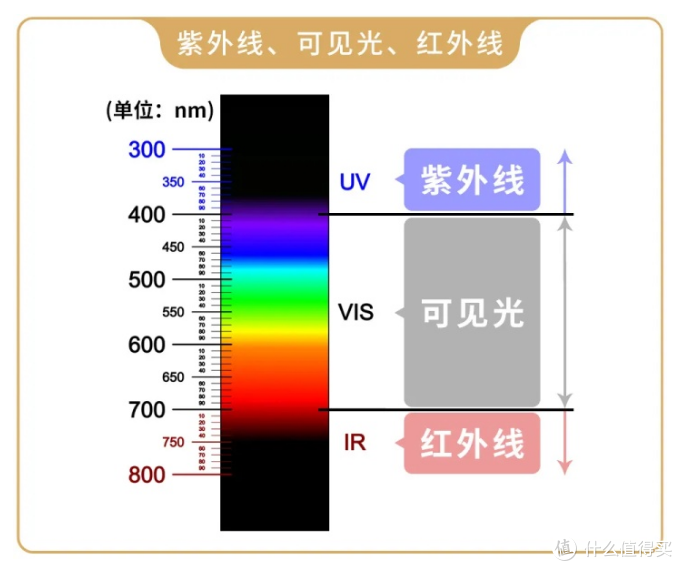 揭秘眼镜店的五大谎言，你中招了吗？