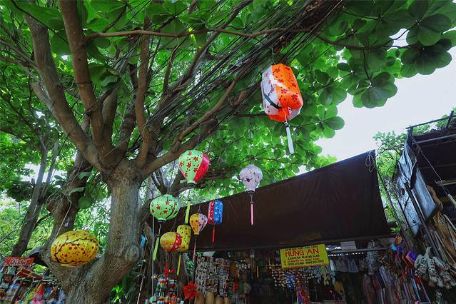 春游越南：从北到南，越来越美