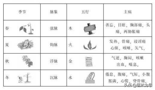 大家去看病号脉时需要注意的，影响正常号脉时的原因都有什么？