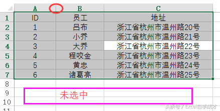 Excel快速调整行高或列宽技巧！