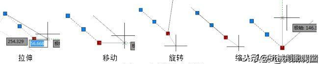 AutoCAD中的夹点编辑介绍