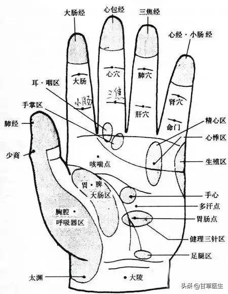 指甲出现这些“变化”，真的是疾病征兆吗