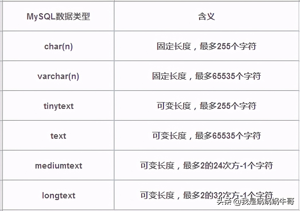 蜗牛哥：MySQL 数据类型详解