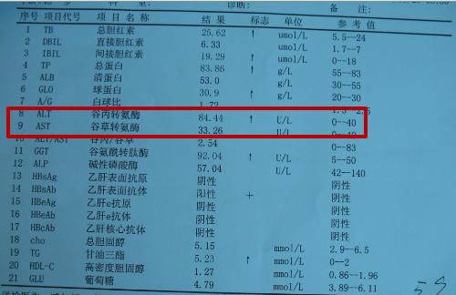 2种植物捣碎泡水喝15天，肝脏毒素都吓跑，肝炎不敢造次