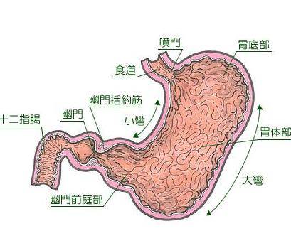 吐奶和溢奶的区别，当吐奶时我们应该怎么做