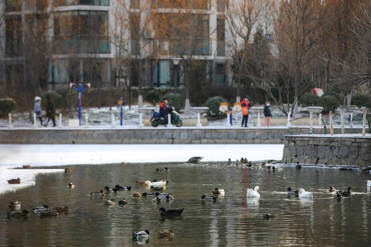 2021年初雪，北京号带您看最美的北京城