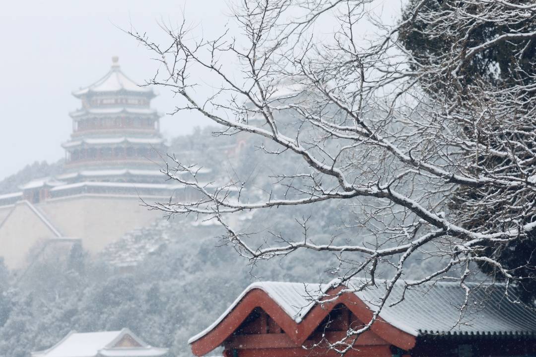 2021年初雪，北京号带您看最美的北京城