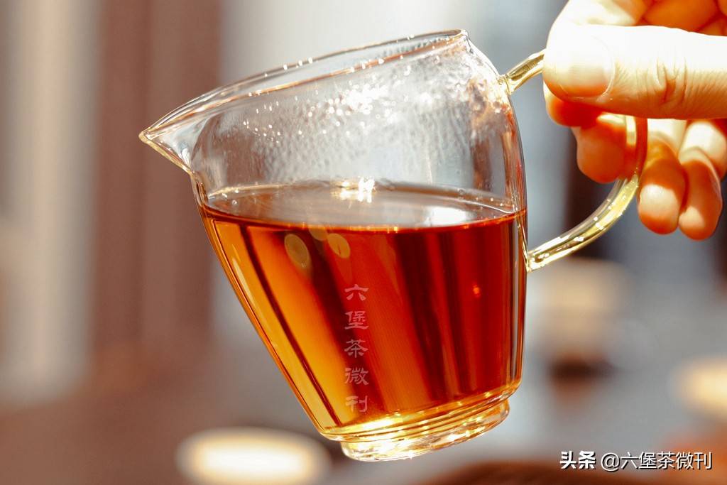 被誉为三鹤至尊的老茶0101六堡茶，究竟口感如何？开汤