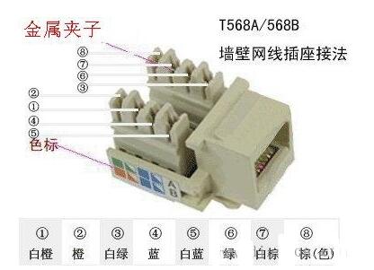 家庭最实用的功能，网线面板如何接线