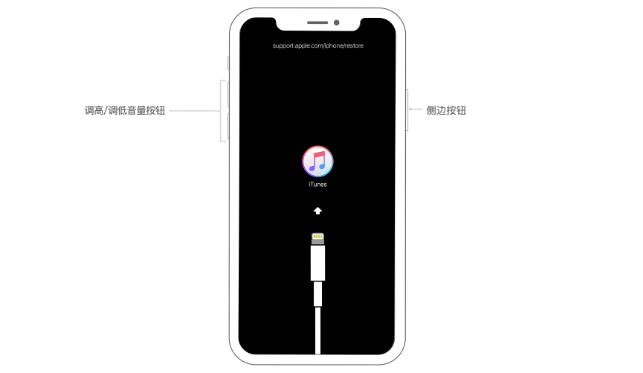 iPhone、iPad、iPod忘记密码如何解决？已停用解锁？连接iTunes？