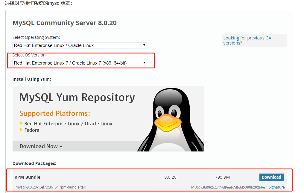 linux系统安装mysql的详细步骤