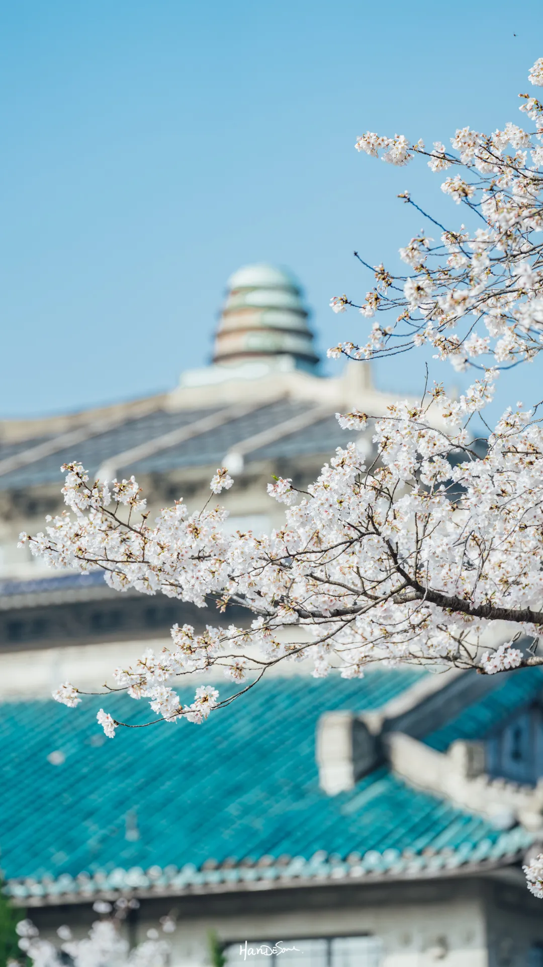 武汉有什么好大学？