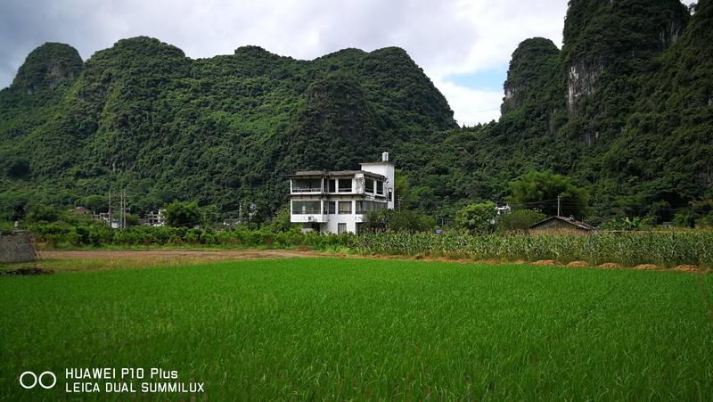 醉美桂林水、烟雨阳朔行（九）——漫游十里画廊