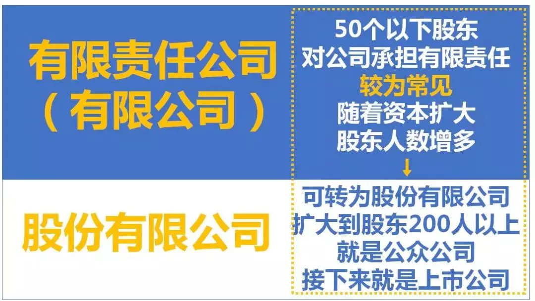 个体户、分公司、子公司、有限公司有啥区别？