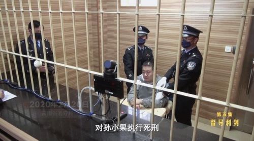 孙小果被执行死刑前现场视频首曝光 孙小果详细事件回顾 孙小果都干了什么事