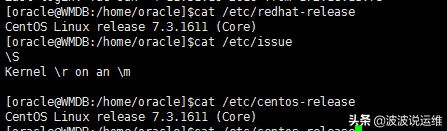 Linux各大常见系统查看系统和内核版本总结