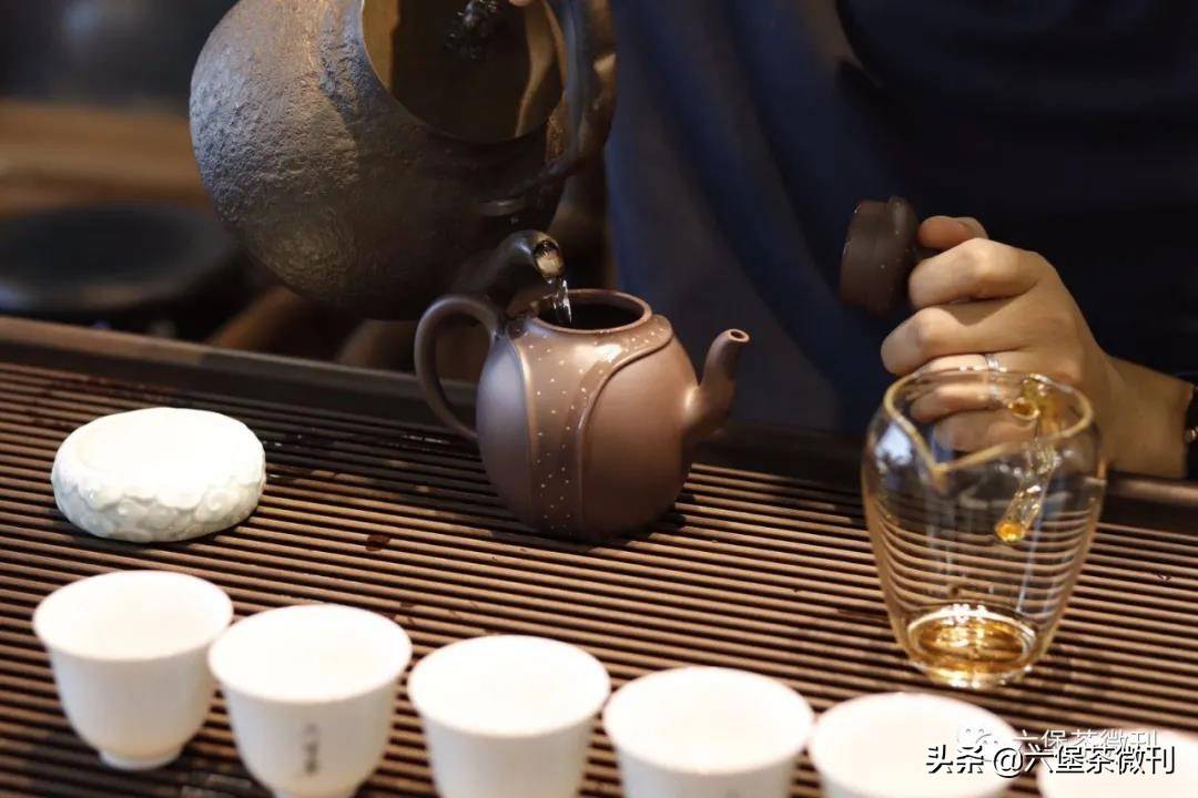 被誉为三鹤至尊的老茶0101六堡茶，究竟口感如何？开汤