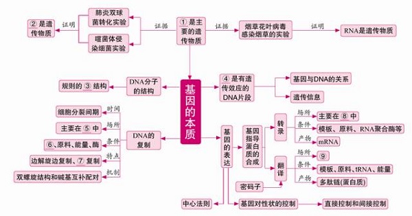 高中生物必修二知识框架图