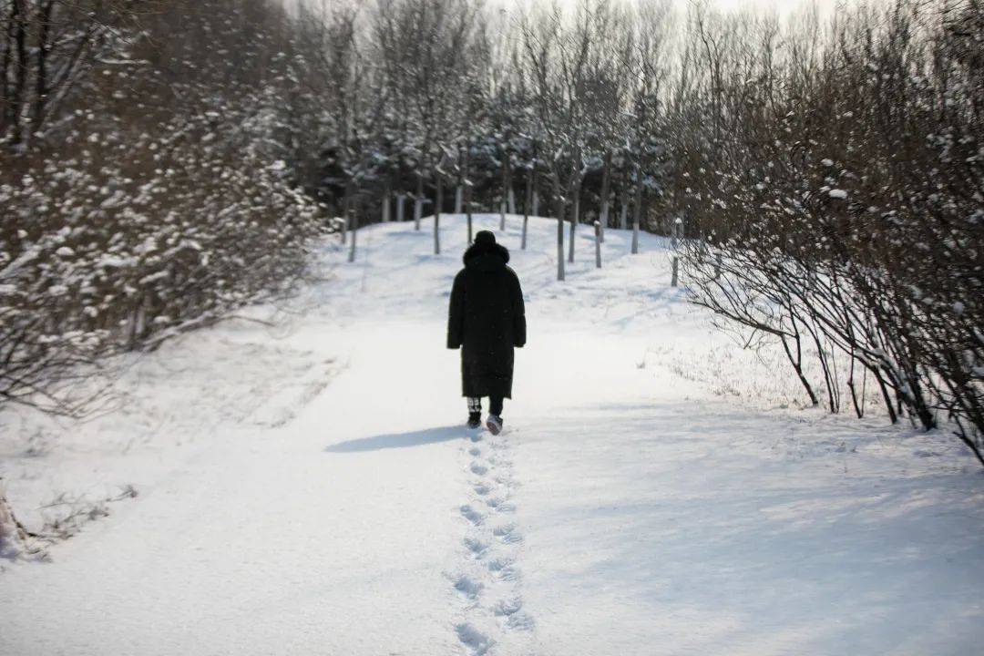 2021年初雪，北京号带您看最美的北京城