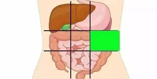 给你一张腹部地图，教你判断腹部疼痛的对应器官，或能终身受益