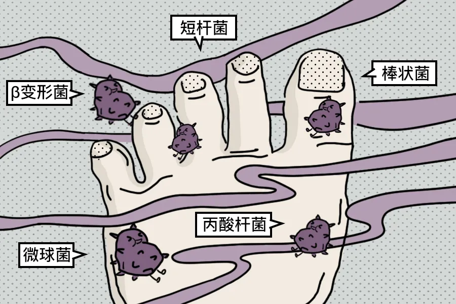 同样都是脚，为什么你的会这么臭？