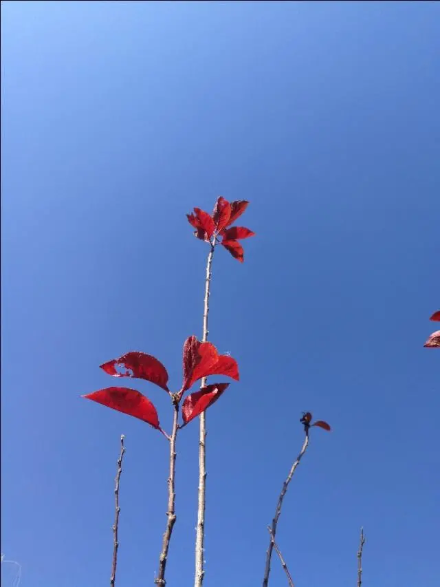 小人不怕君子，却最怕这三种”恶人”