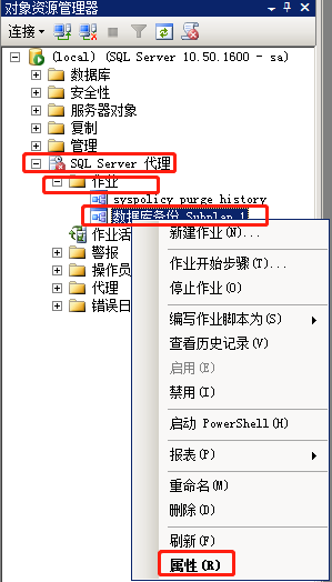 SQL2008数据库设置自动备份