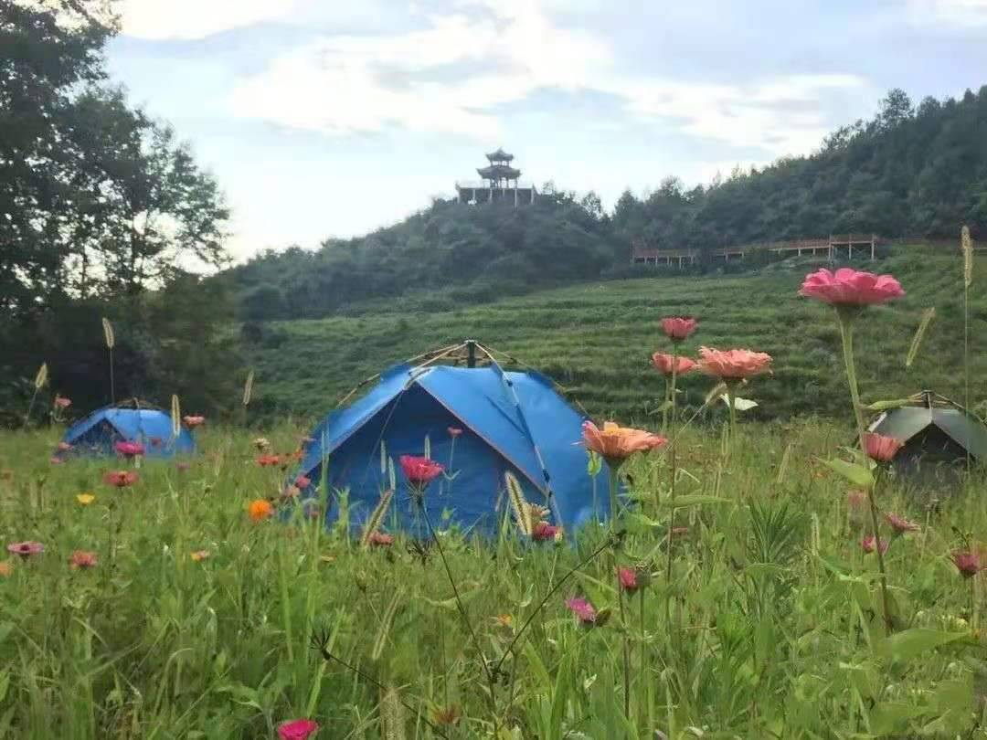 距离主城1h，重庆的第一波秋天藏在这里，建议收藏