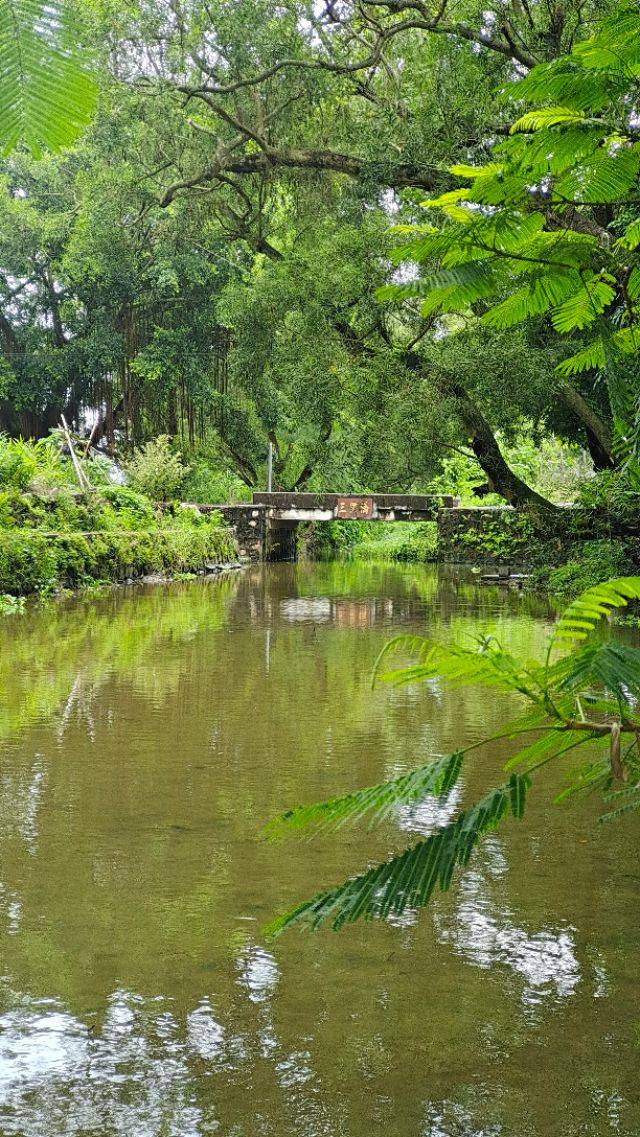 台山 古村一日游 (浮石，浮月村)(2020 08 14)