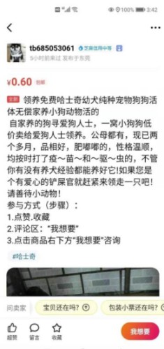 如何通过闲鱼引流微信成交精准锁定宠物粉! 引流 经验心得 第2张