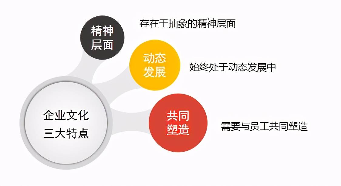 一篇文章理解什么是企业文化