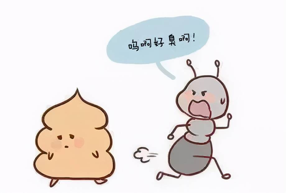 为什么你的便便比别人臭？