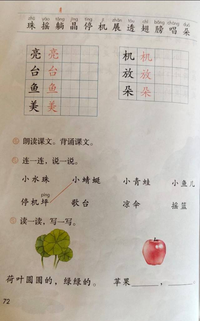 小学一年级语文下册课文13《荷叶圆圆》知识点