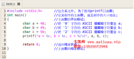 C语言支持哪些基本数据类型？