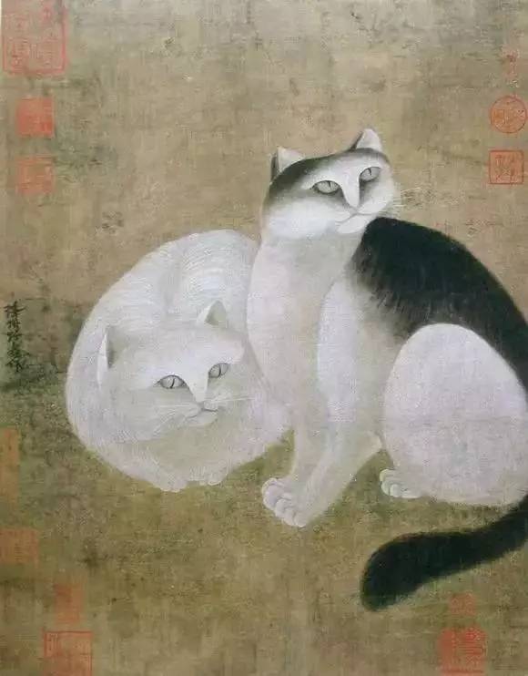 古代猫奴有多拼？你看看人家陆游！