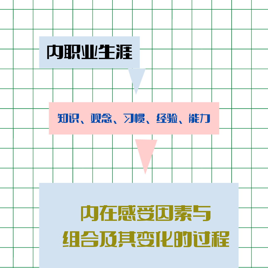 职业生涯、探索一个领域的真理与规律