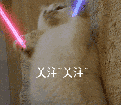 给狗狗断尾太残忍？其实有这些好处的