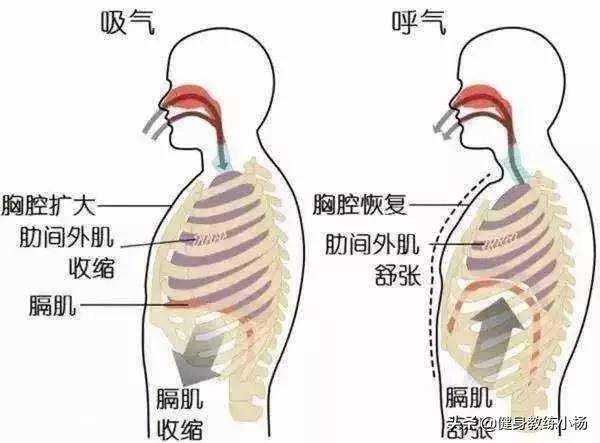 跑步时肚子疼痛是怎么回事？了解原因掌握方法，有效防止肚子疼痛