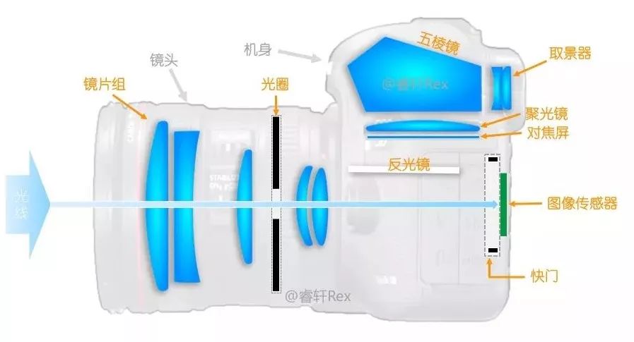 单反单反，到底什么是单反？