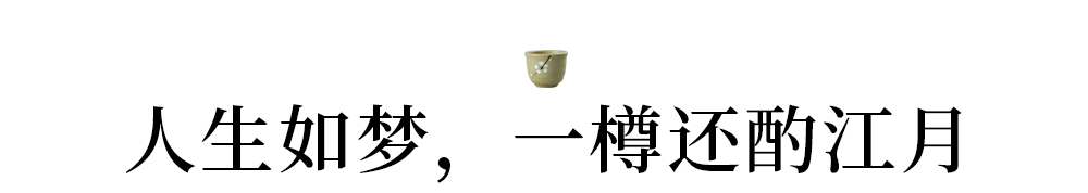 遇酒且喝，人生几何