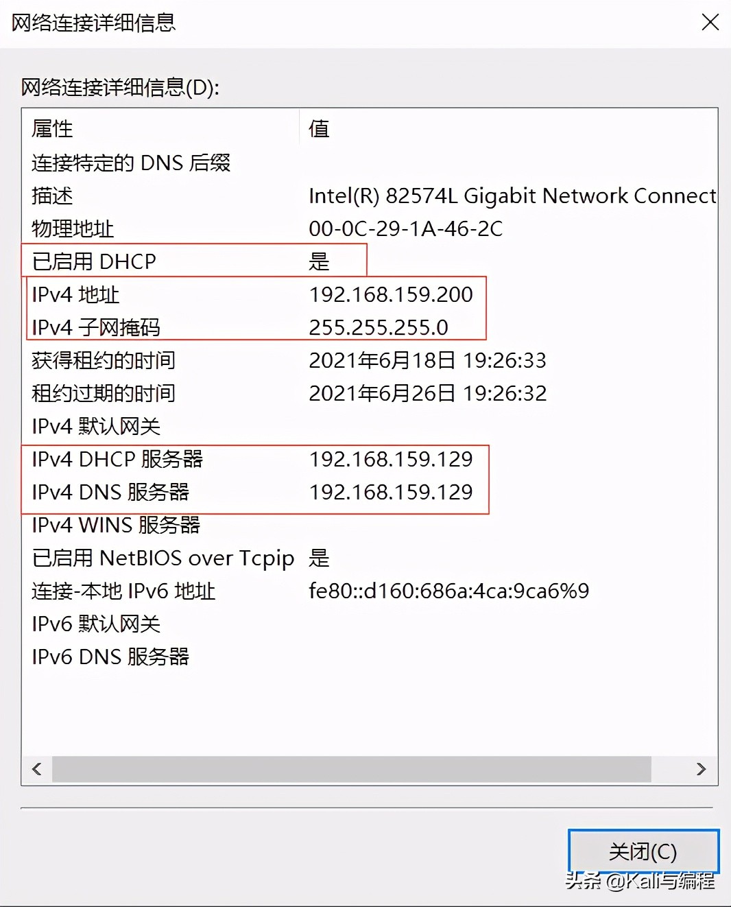 Kali与编程：Winserver 2019搭建dhcp服务器