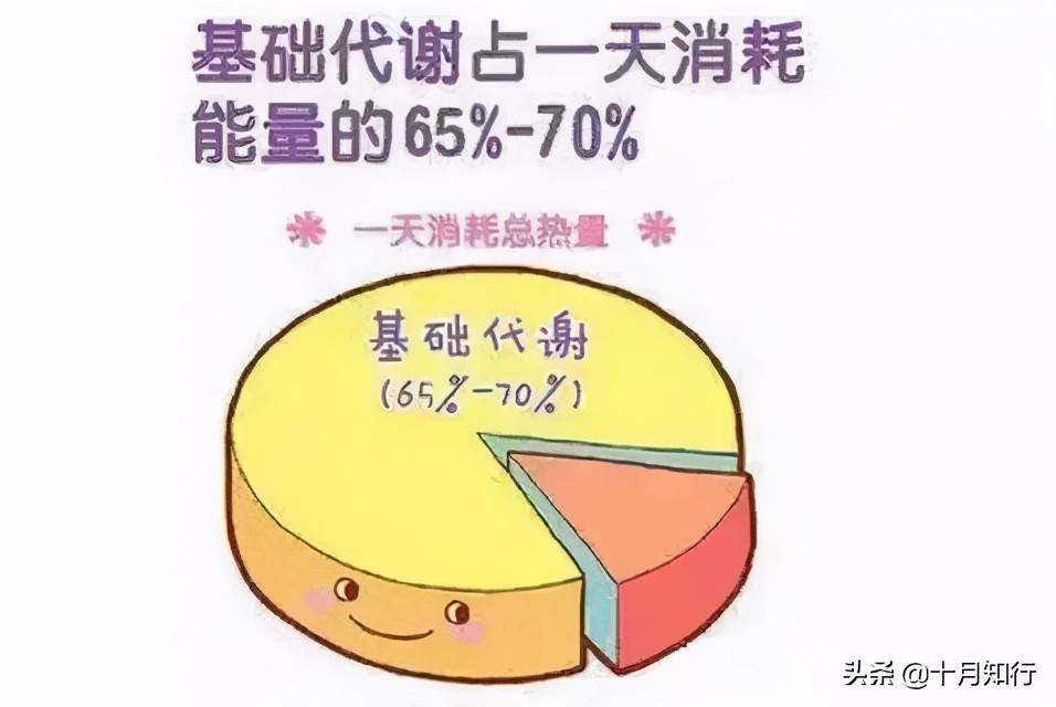 低碳饮食不一定能减肥，还会威胁健康，减肥要合理分配碳水的摄入