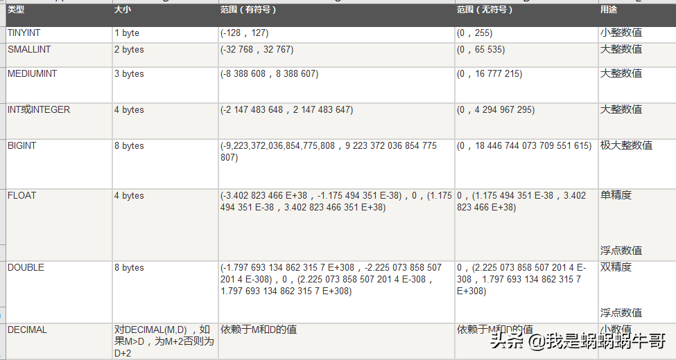 蜗牛哥：MySQL 数据类型详解