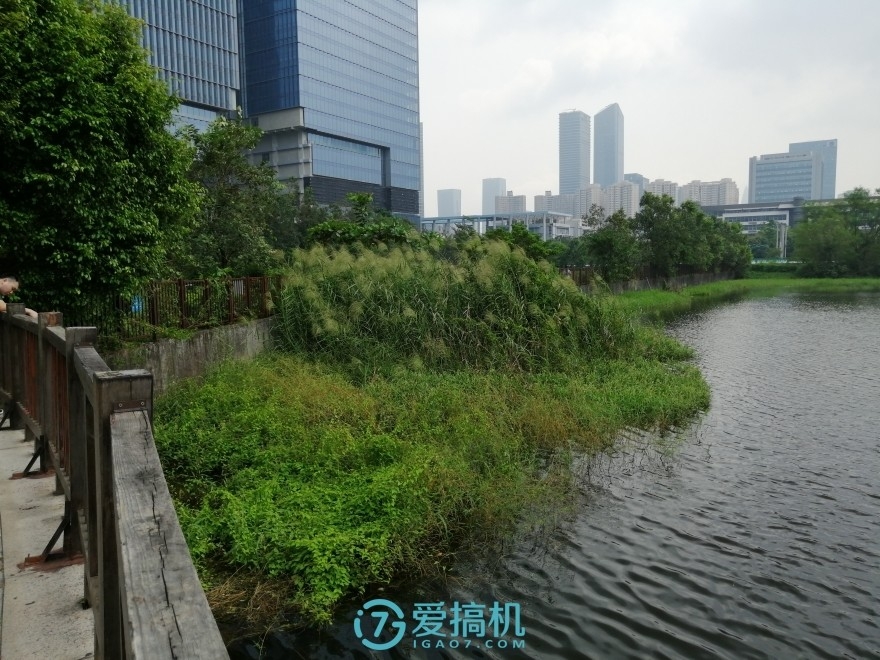 华为性价比机皇，麒麟710+全面屏，荣耀8X详细体验评测！